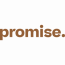 Promise logo