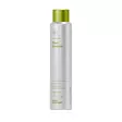 Four Reasons Professional Root Boost 200ml - Tyvikohottajat ja hiuspuuterit - 10300010 - 1