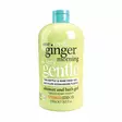 Treaclemoon One Ginger Morning Shower Gel 500ml - Suihkugeelit ja saippuat - 4310022 - 1