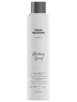 X Four Reasons Professional Working Spray 300ml - hiuskiinne - Outlet / Kolikolla kampaamotuotteita - 6418414034896 - 1